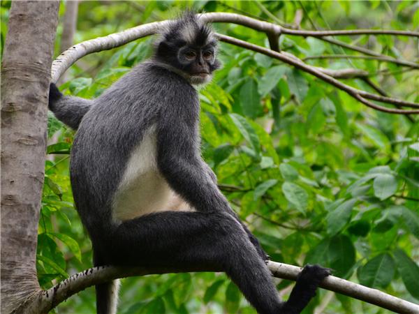 Sumatra small group vacation