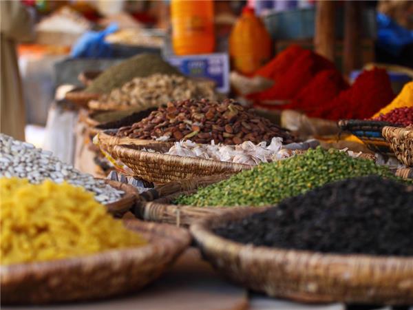 Morocco highlights vacation