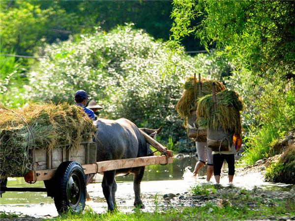 Vietnam and Angkor in comfort