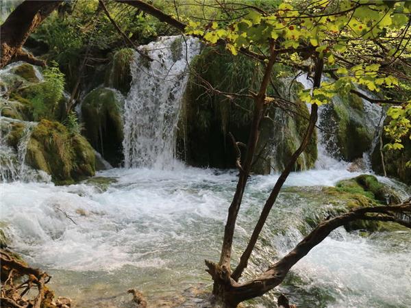 Old Dubrovnik and Dalmatia small group vacation