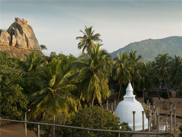 Highlights of Sri Lanka small group tour
