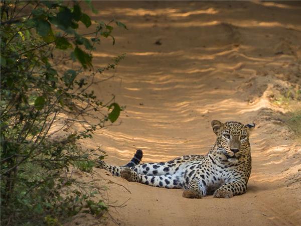 Highlights of Sri Lanka small group tour