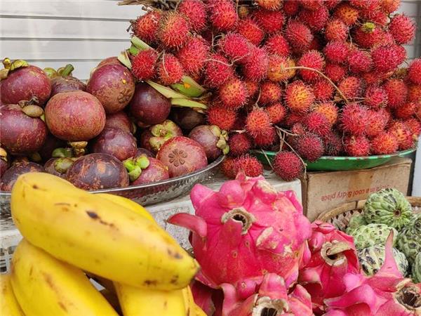 Bali, Flores and Komodo holiday, Indonesia
