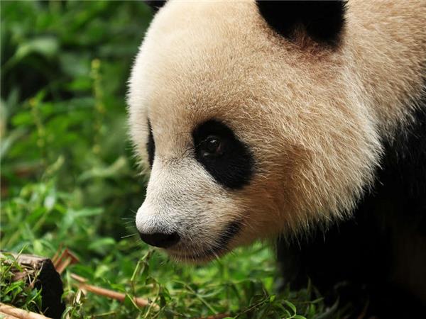 Treasures of China