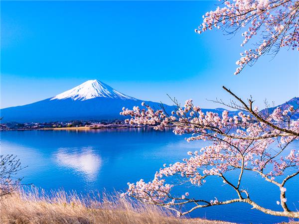 Southern Japan small group tour