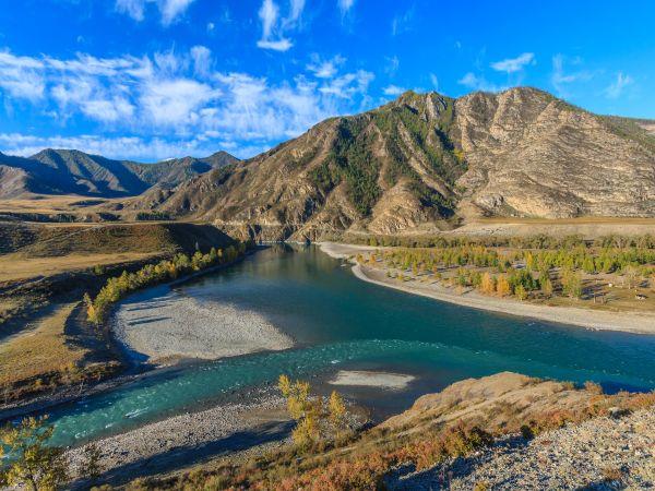 Mongolia eagle hunting festival vacation