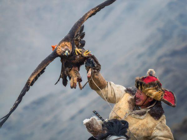 Mongolia eagle hunting festival vacation