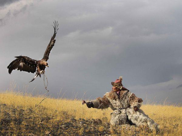 Paypoq porno tomosha