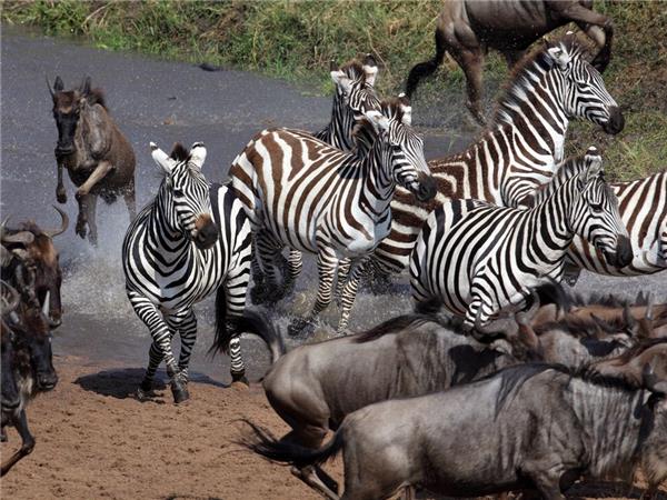 Kenya family small group vacation