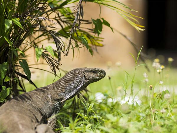 Sri Lanka and the Maldives small group tour