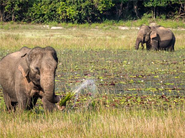 Sri Lanka and the Maldives small group tour