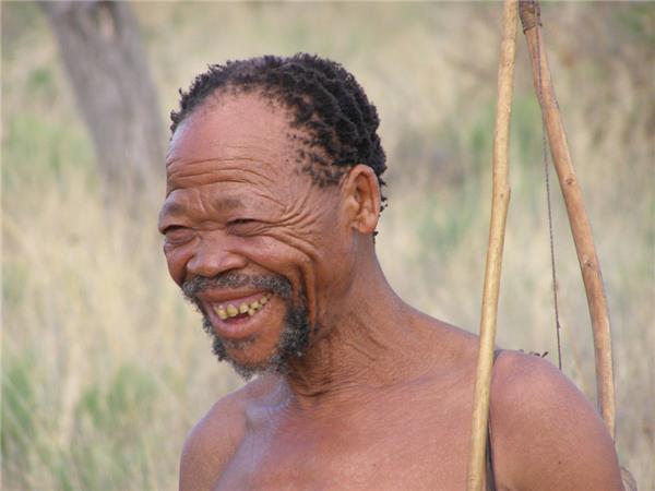 Botswana highlights small group tour