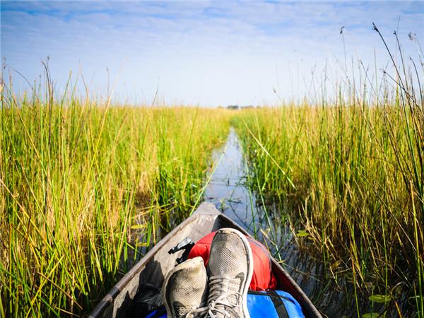 Botswana highlights and Caprivi guided tour