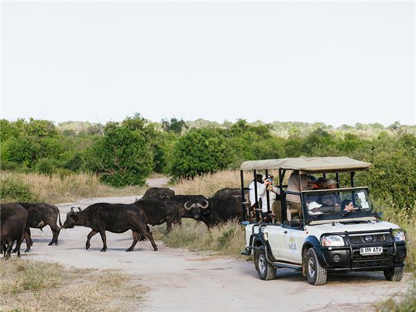 Botswana highlights small group tour