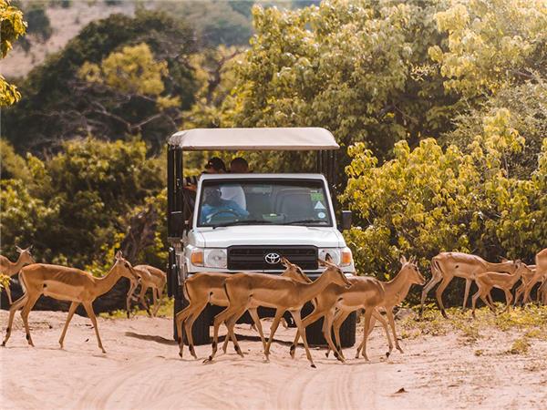 Botswana adventure holiday