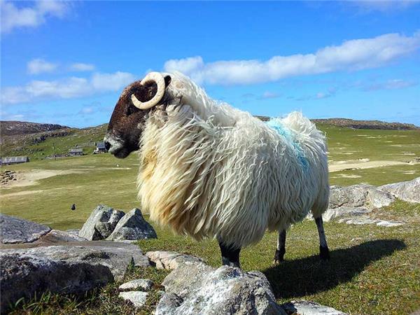 Western Isles small group walking vacation, Scotland