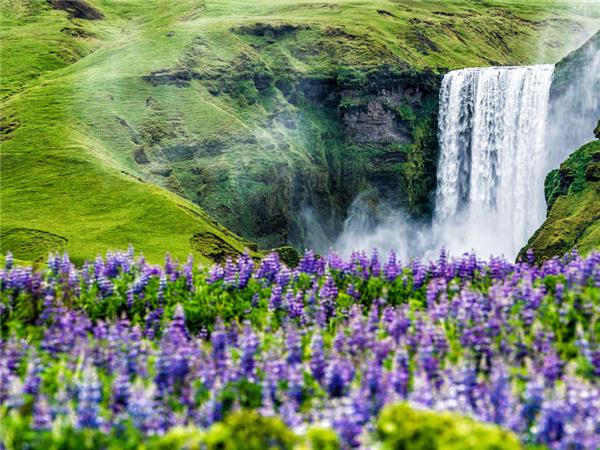 Iceland summer small group vacation