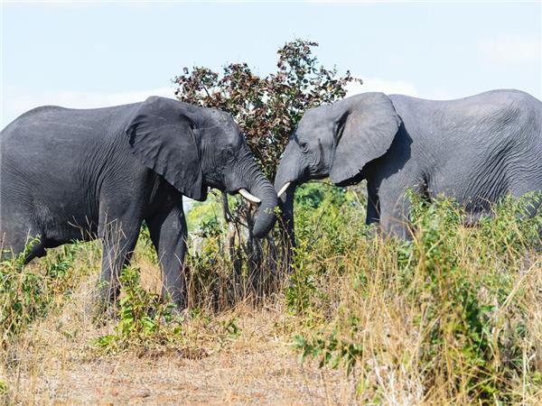 Southern Africa small group tour