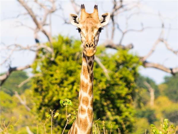 Southern Africa small group tour
