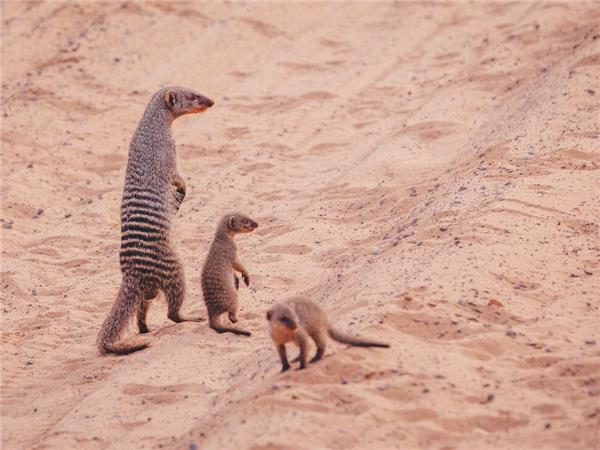 Southern Africa small group tour