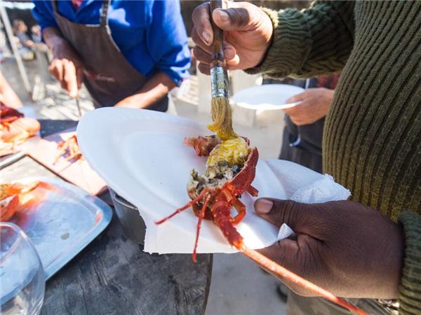 Southern Africa small group tour