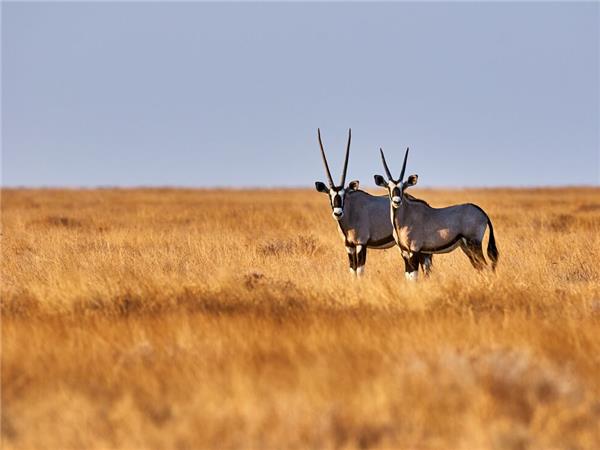 Southern Africa small group tour