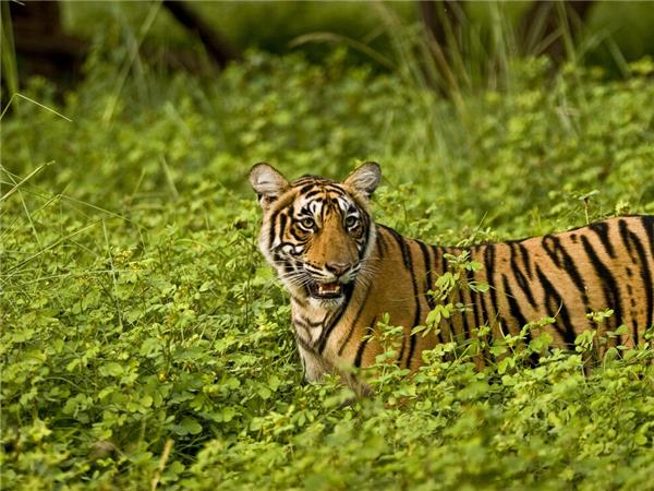 India small group vacation with added comfort
