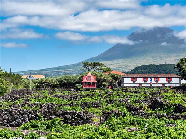 Azores highlights tour