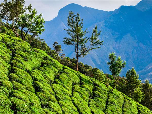 Kerala hiking vacation in India