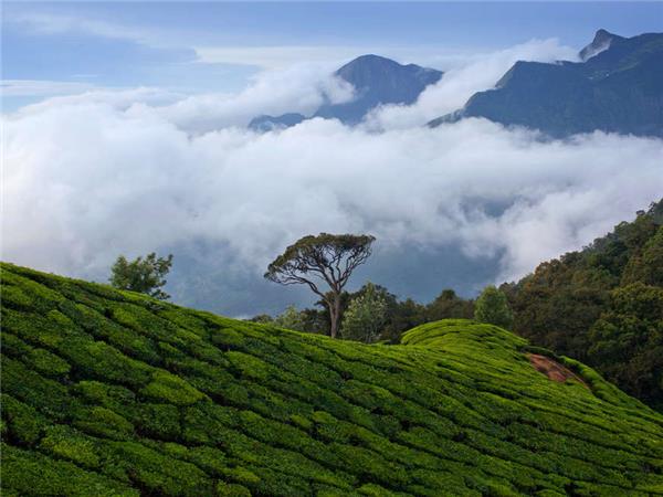 Kerala hiking vacation in India