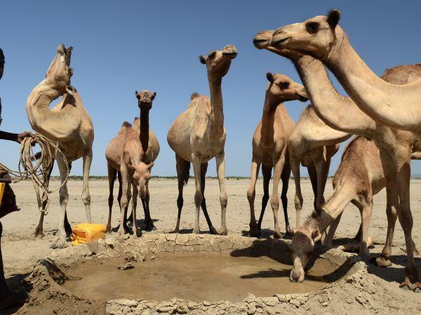 Ethiopia small group vacation