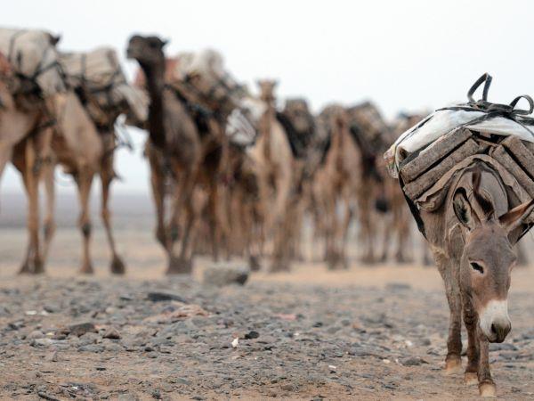 Ethiopia small group vacation