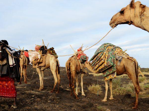 Ethiopia small group vacation
