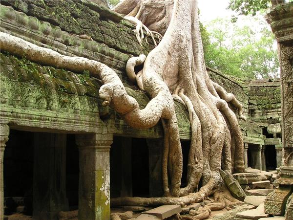 Cambodia activity vacation, hike, bike & kayak