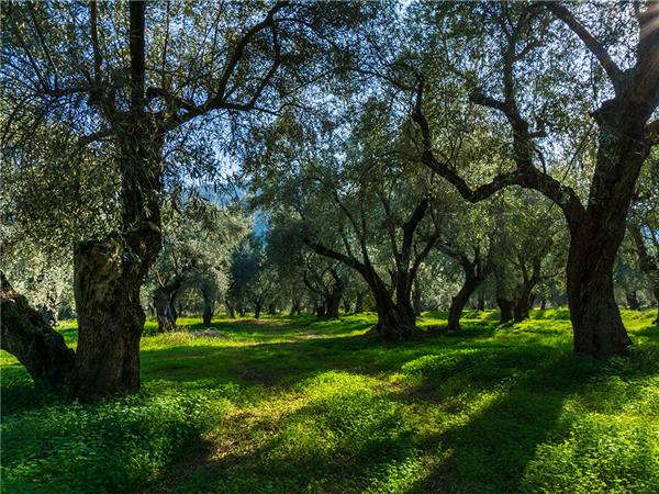 Mainland Greece tour