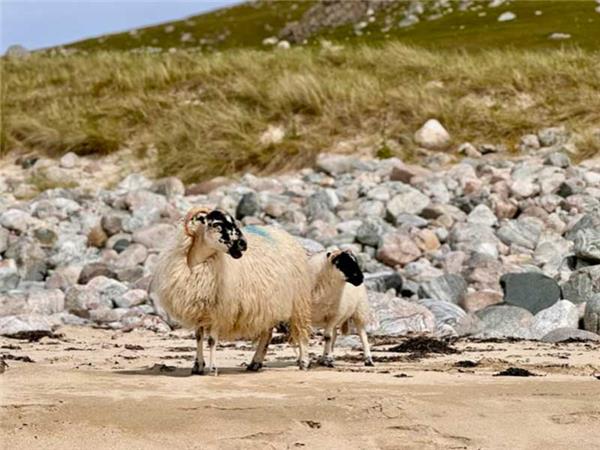 Walking in Outer Hebrides & the Isle of Skye