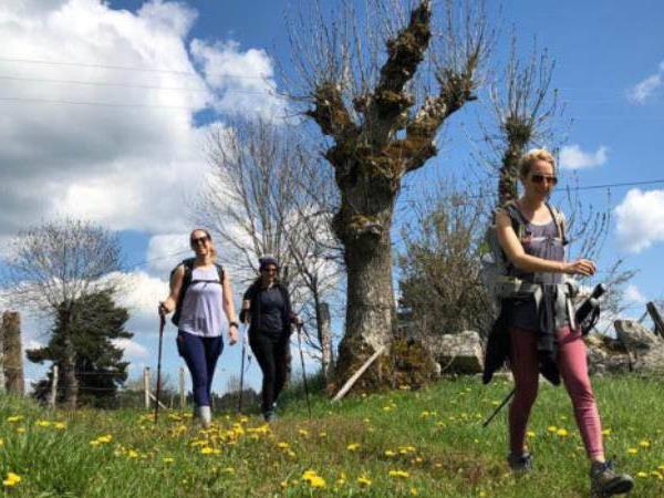 Francigena Way walking vacation Lucca to Siena