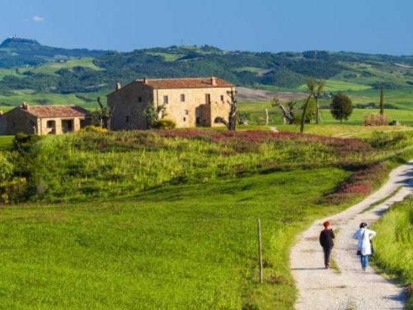 Francigena Way walking vacation Lucca to Siena
