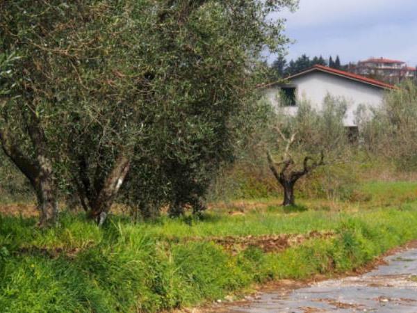 Francigena Way walking vacation in Italy