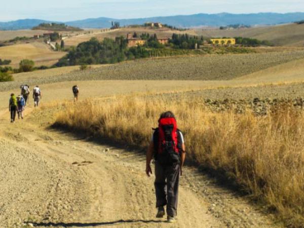 Francigena Way walking vacation in Italy