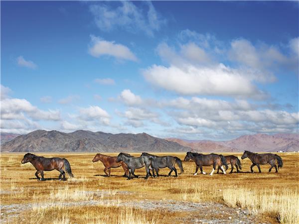Trans Mongolian Eastbound, St Petersburg to Beijing