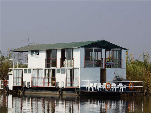 Botswana wildlife safari