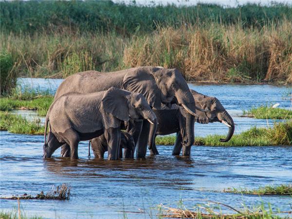 Botswana and Zambia lodge safari, small group