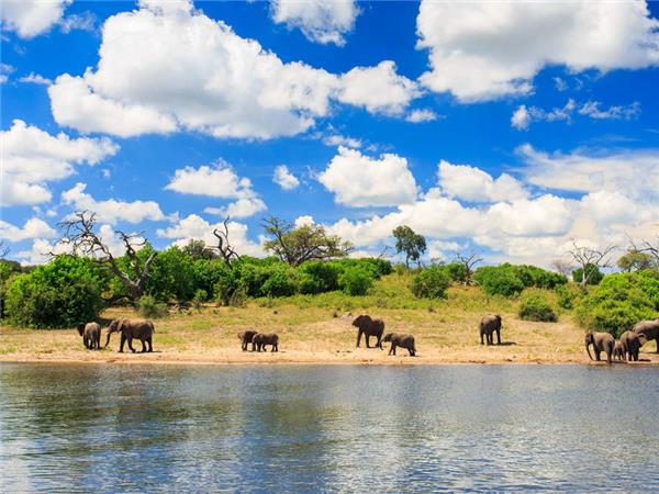 Botswana and Zambia lodge safari, small group