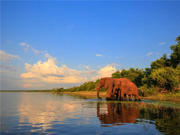 South Africa highlights vacation