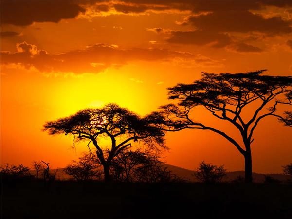 South Africa highlights vacation