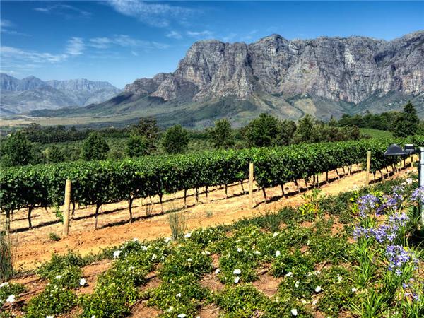 South Africa highlights vacation