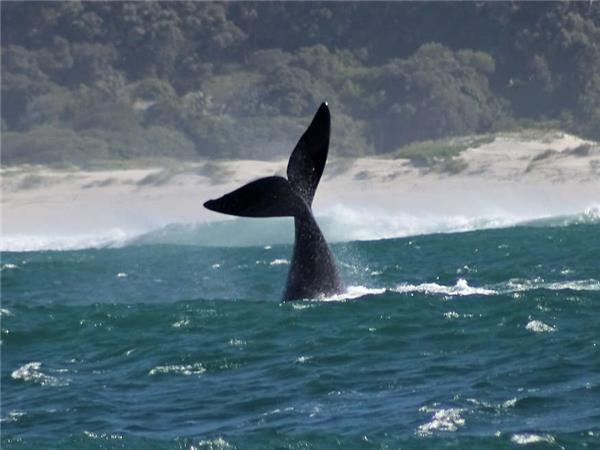 South Africa highlights vacation