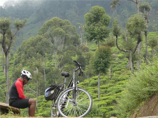 Sri Lanka cycling tour