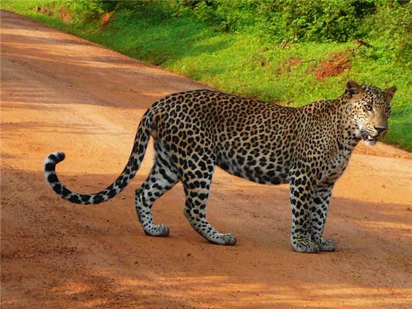 Sri Lanka cycling tour